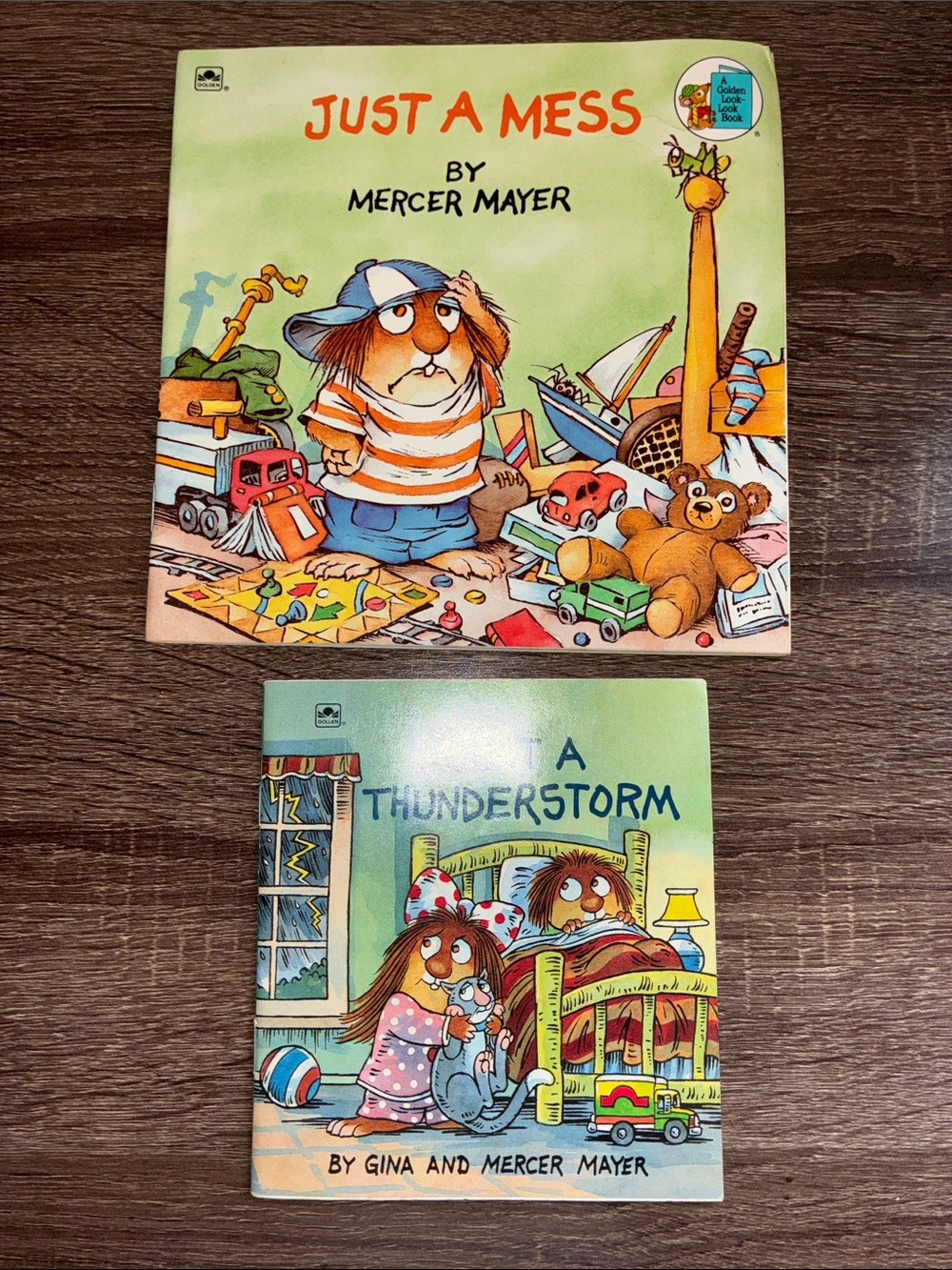 Used Just a Mess (top) and Just a Thunderstorm (bottom) by Gina and Mercer Mayer